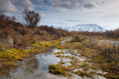 Camping in Denali National Park: The Ultimate Guide to All 6