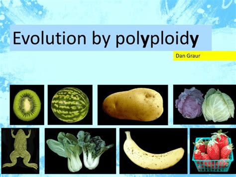 Polyploidy