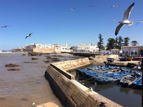 5 Amazing Things To Do In Essaouira Morocco