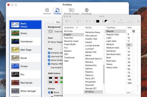 How to Change Terminal Font Size in macOS – TecAdmin