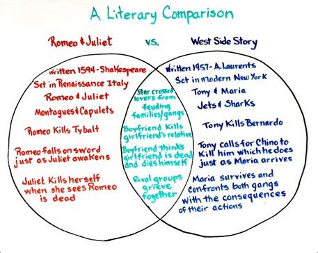 How To Create A Venn Diagram Using Free Venn Diagram Template