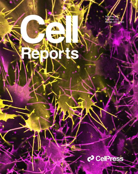 Work by GSBS alumna Vanja Krneta-Stankic, PhD, published on cover of Cell Reports - MD Anderson ...