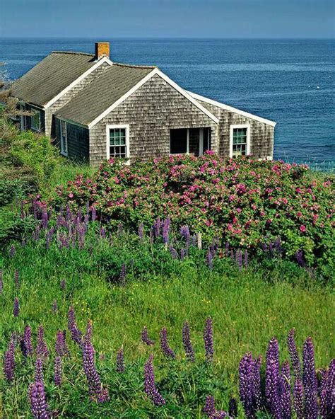 Pin by Sandi Conser on Cozy cottage | Beach cottages, Seaside cottage, Cottage