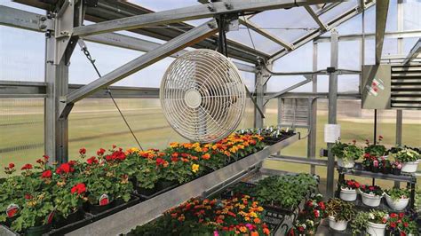 How to Create the Ideal Ventilation System for Your Greenhouse - Greenhouse Grower