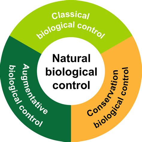 The categories of biological control. Natural biological... | Download ...