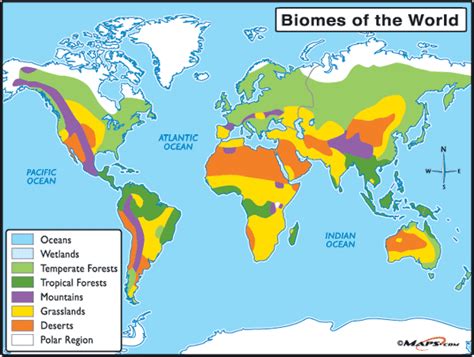 World Map Biome - Zip Code Map