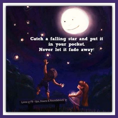 Falling Stars Quotes. QuotesGram