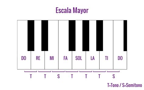 ¿Qué es una escala musical? | La Escala