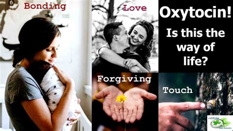 Oxytocin Benefits and Side Effects You Ever Want to Know