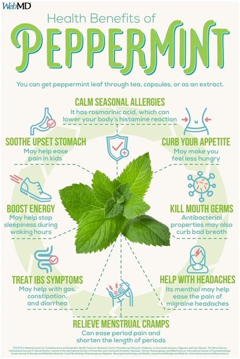 WebMD: Health Benefits of Peppermint | Seasonal allergies, Peppermint ...