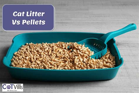 Cat Litter Vs Pellets: What's The Best? How Do They Differ?