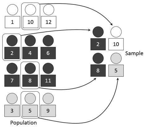 Stratified Sampling: Definition, Advantages & Examples - Statistics By Jim