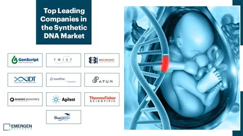 Synthetic DNA Market Top Companies | Synthetic DNA Industry Trends by 2030