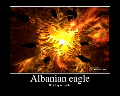 Albanian eagle - Picture | eBaum's World