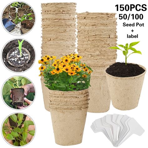 150/100/50 Pcs Biodegradable Fibre Seed Pots for Seedling with Plant ...