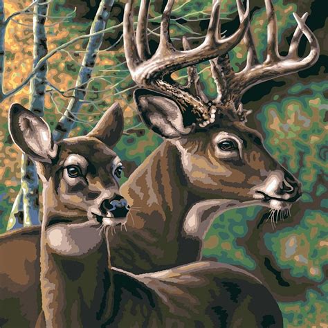 Plaid Deer Pair Extra Large Paint by Numbers - Craft & Hobbies from Crafty Arts UK