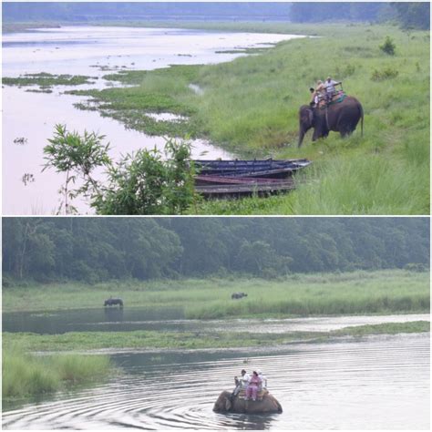 Chitwan Jungle Safari | All About Chitwan National Park, Nepal ...