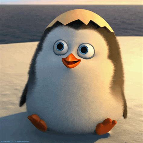 Penguins Of Madagascar GIFs - Find & Share on GIPHY