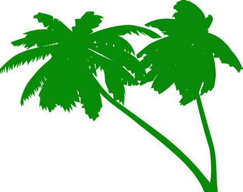 Palms Coconut Tree · Free vector graphic on Pixabay