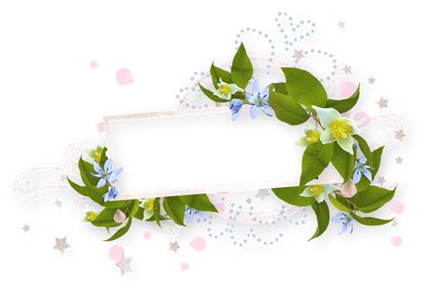 Spring Bloom Flower · Free photo on Pixabay