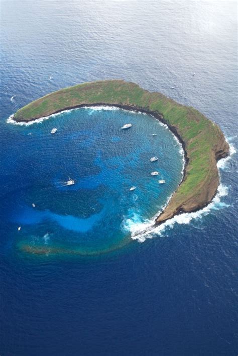 The 10 Best Molokini Crater Tours & Tickets 2021 - Maui | Viator | Maui ...