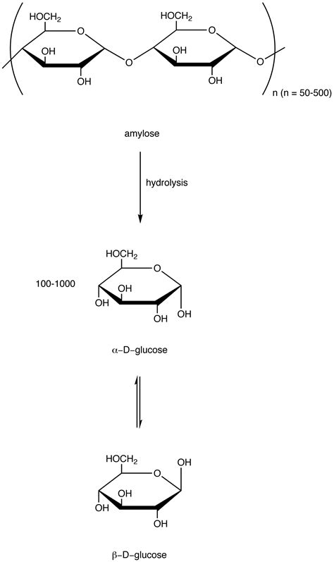 Polysaccharide - Chemistry LibreTexts