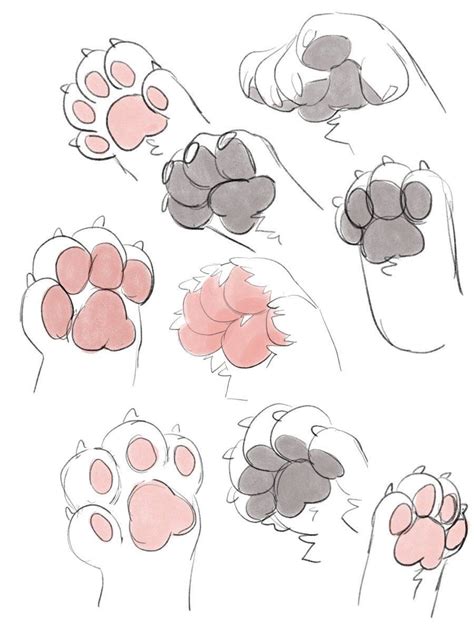 Cat Paw Drawing Reference