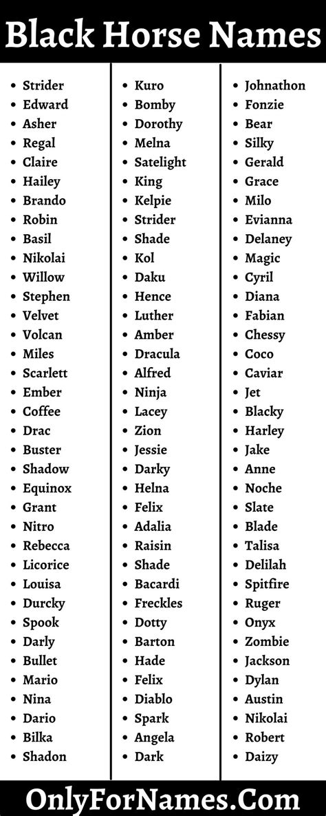 Black Horse Names To Call Your Black Horse