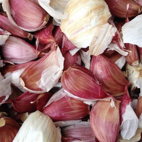 Garlic Planting Tips | The Cutting Veg