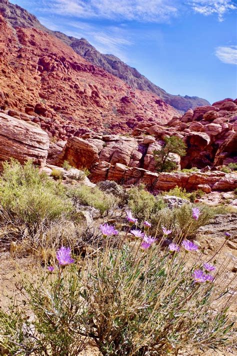 Kraft Mountain, Red Rock Conservation Area, Southern Nevada, USA Stock Photo - Image of abstract ...