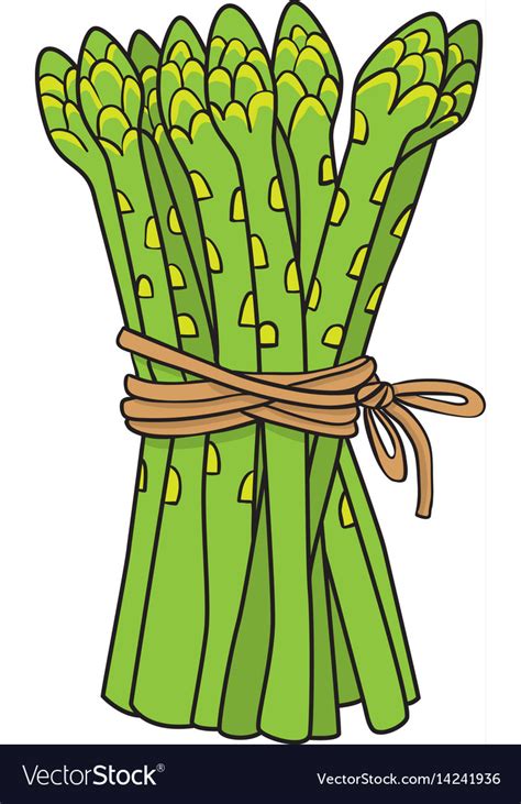 Cartoon image of asparagus Royalty Free Vector Image