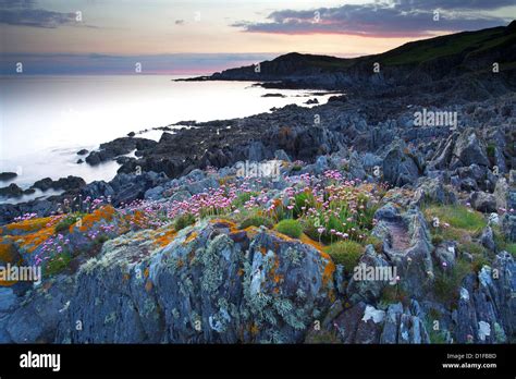 Bull Point, North Devon, Devon, England, United Kingdom, Europe Stock ...