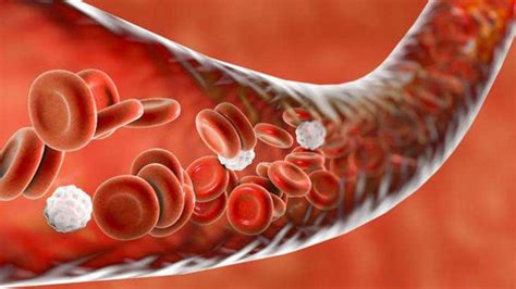 Overview of low magnesium in the blood | Vinmec