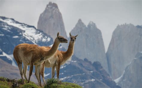 Mike Reyfman Photography