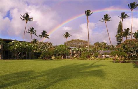 The Mauian Hotel on Napili Beach - UPDATED 2018 Prices & Reviews (Maui/Lahaina) - TripAdvisor