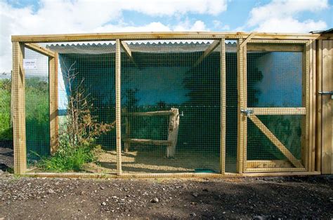 Build an Outdoor Bird Aviary