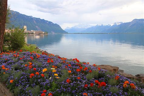 Travel in my DREAM~~~ : Lake Geneva , Switzerland