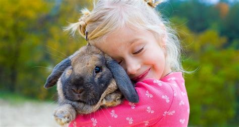 Best Small Animal Pets For Children