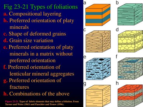 Chapter 23: Metamorphic Textures - ppt download