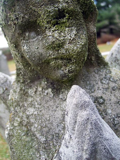Moss Covered Face Of A Praying Angel @ Brown's Chapel Ceme… | Flickr