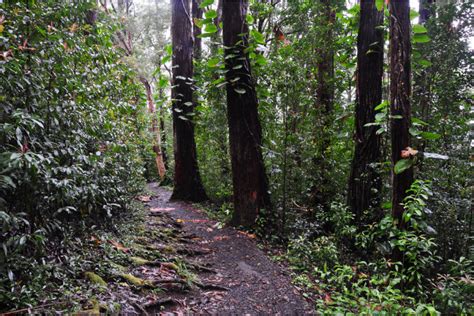 10 Best Maui Hiking Trails + Maui Hiking Guide