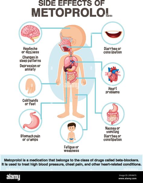 Human anatomy diagram cartoon style of metoprolol side effects ...