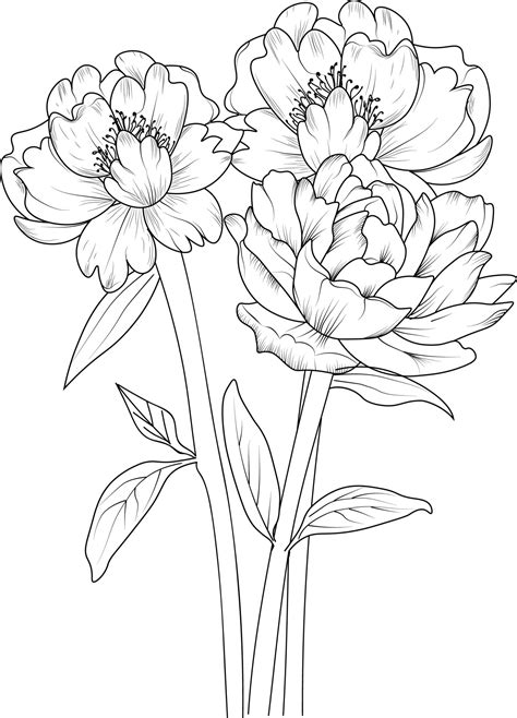 Drawing A Flower Sketch | Best Flower Site