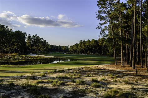 Pinehurst Resort Course #2, Hole 16 - Joann Dost Golf Editions