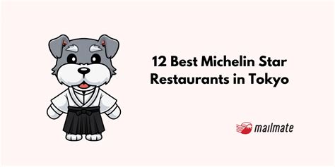 12 Best Michelin Star Restaurants in Tokyo: A 2024 Guide | MailMate