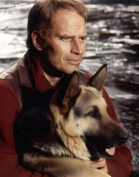 Charlton Heston as John Thornton in adventure film The Call of the Wild ...