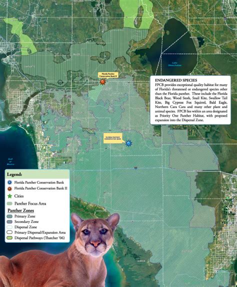 Florida Panther Conservation Bank - The Mitigation Banking Group