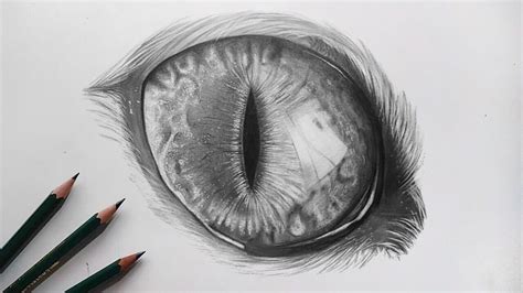 Realistic Drawing Of A Cat Eye