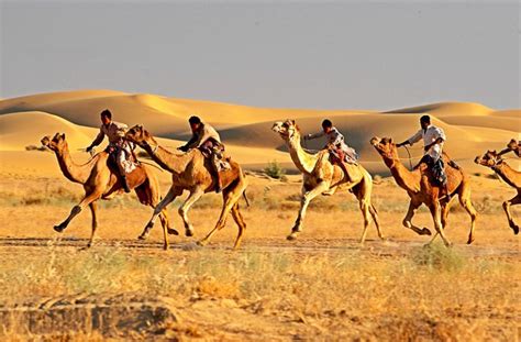 Churu Desert City, Rajasthan