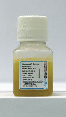 Corning™ Human AB Serum Human AB Serum; 100mL Human Sera | Fisher Scientific